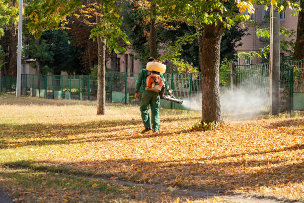 Spider Control Near Me in Marietta Alderwood, WA